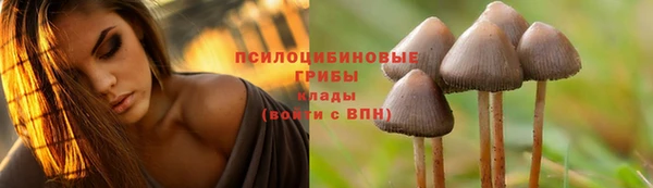 скорость Алексин