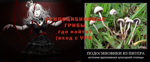 стафф Абдулино